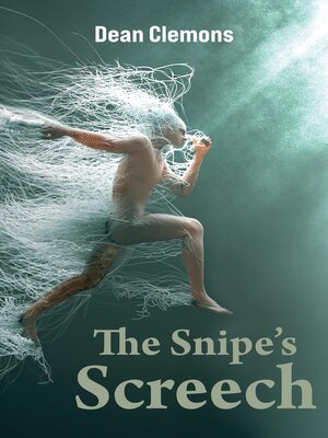 cover image of The Snipe's Screech